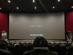 -SFC上影百联影城(八佰伴IMAX店)