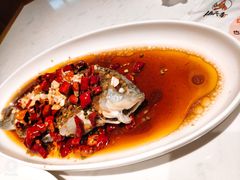 -杨氏青龙虾·羊蝎子(金盛路总店)