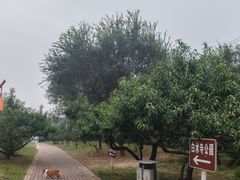 -白水寺森林公园