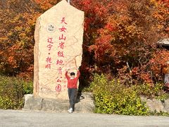 -天女山森林公园