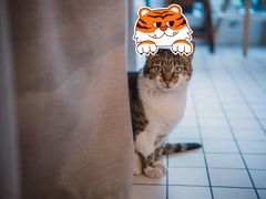 -ID.PHOTO照相馆(嘉里企业中心店)