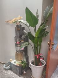 -卡尔诗·科技美肤连锁