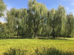 -北坞公园