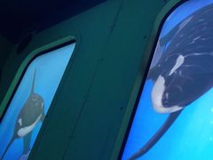 -珠海横琴国家地理探险家中心(创新方)