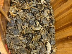 -初色海鲜自助(万丰路店)