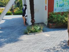 -洛阳市牡丹公园