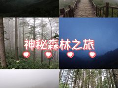 -驼梁风景区