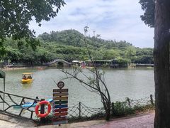 -大雁山风景区