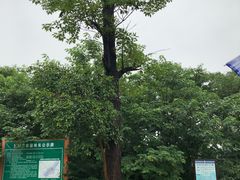 -敬亭山风景名胜区