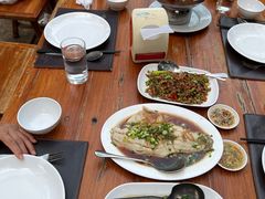 -绿光森林餐厅