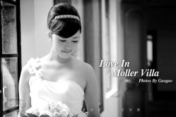 -张涛·欣悦造型