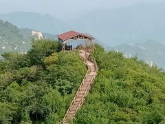 -大岭沟猕猴桃谷风景区