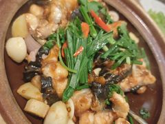 -顺味凤城·顺德菜专门店(九六广场店)