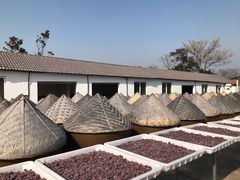 -苏州市吴中区光福窑上花果蜜饯厂