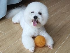 -艾贝尔宠物医院·24H转诊中心·肿瘤猫专科(江宁双龙店)