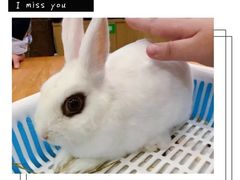 -藦茜花园宠物主题亲子互动体验馆(国顺东路店)