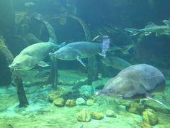 -华夏文旅海洋公园