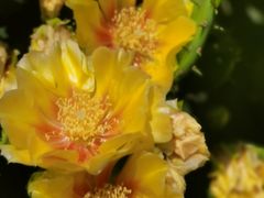 -东天目山风景区