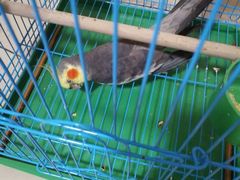 -天津前进宠物医院(前进道店)