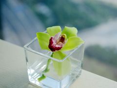 -三迪希尔顿酒店·星空酒廊