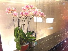-华夏良子·足道SPA艾灸(王府井店)