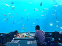 -瑞德姆美人鱼海底演艺主题餐厅(亚龙湾店)