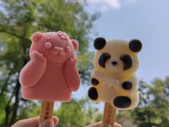 -沈阳森林动物园