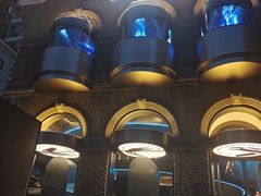 -巴厘龙虾·榜首油焖大虾(洞庭·艺术洋房店)