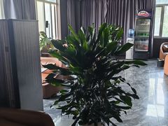-晴川足道·商务水疗SPA(东郊记忆店)