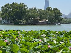 -济南大明湖景区
