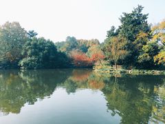 -西湖游船