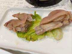 -丁老爷子苏香圆