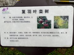 -南山植物园