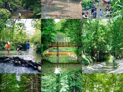 -桤木河湿地公园