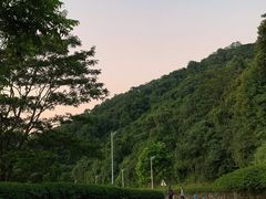 -火炉山森林公园