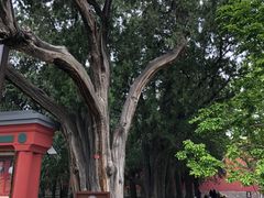 -北京市劳动人民文化宫(太庙)