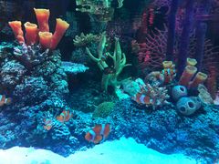 -沈阳海洋探索中心