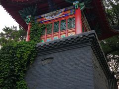 -北山公园