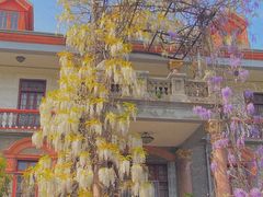 -狼山风景名胜区