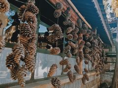-寂照庵