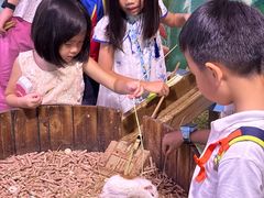 -正佳雨林生态植物园