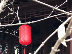 -上海醉白池公园