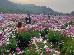 -径山花海