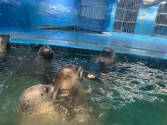 -青岛海底世界-水族馆