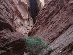 -天山神秘大峡谷