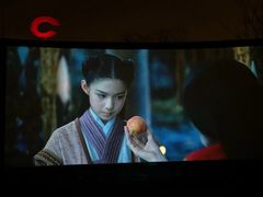 -枫花园汽车电影院(朝阳公园店)