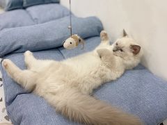 -FULL MOON满月咖啡