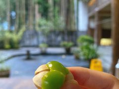 -腾冲国萍农家乐
