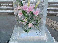 -长春公园(普阳街道)