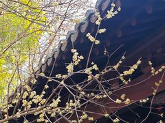 -钱王祠